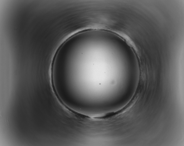 X0000088861343200706151729