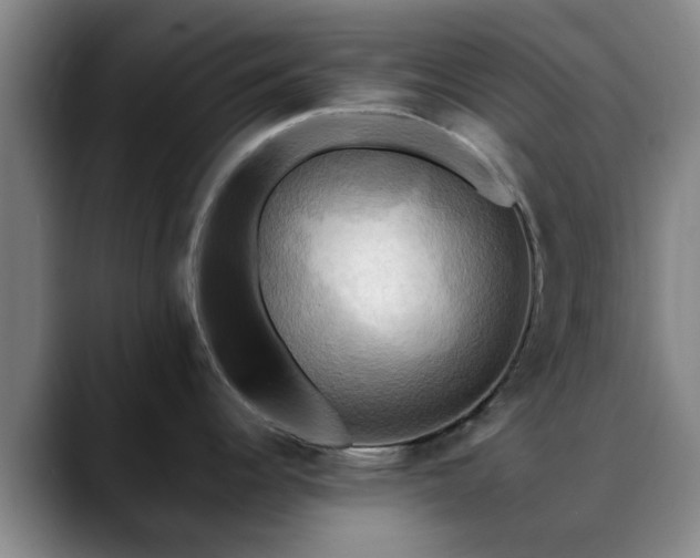 X0000088861344200706151729