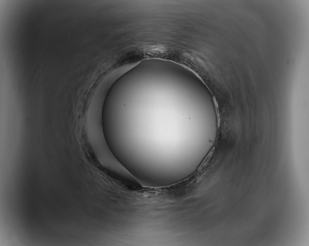 X0000088861345200706151728