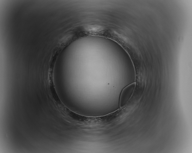 X0000088861346200706151728
