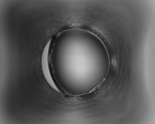 X0000088861348200706151728