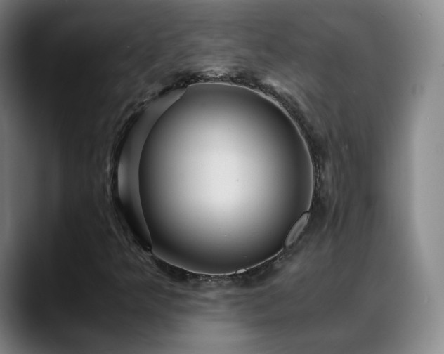 X0000088861349200706151728