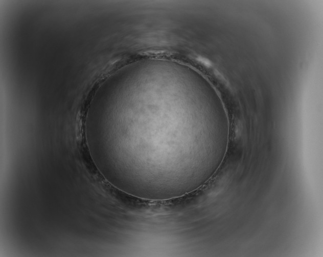 X0000088861350200706151728