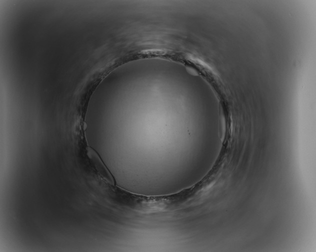 X0000088861351200706151728