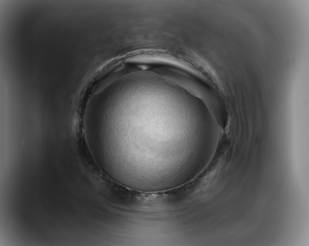 X0000088861352200706151728