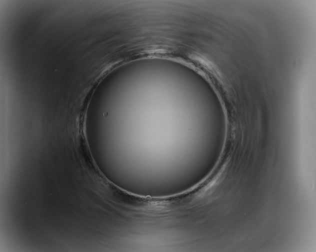 X0000088861353200706151728
