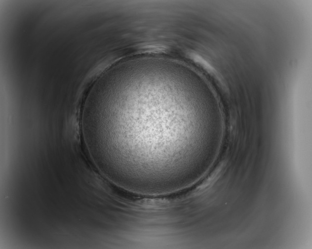 X0000088861354200706151728