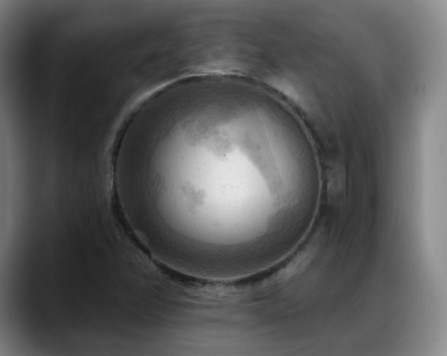 X0000088861358200706151728