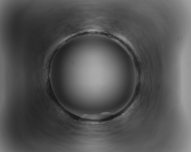 X0000088861359200706151728