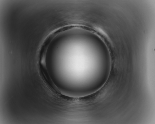 X0000088861360200706151728