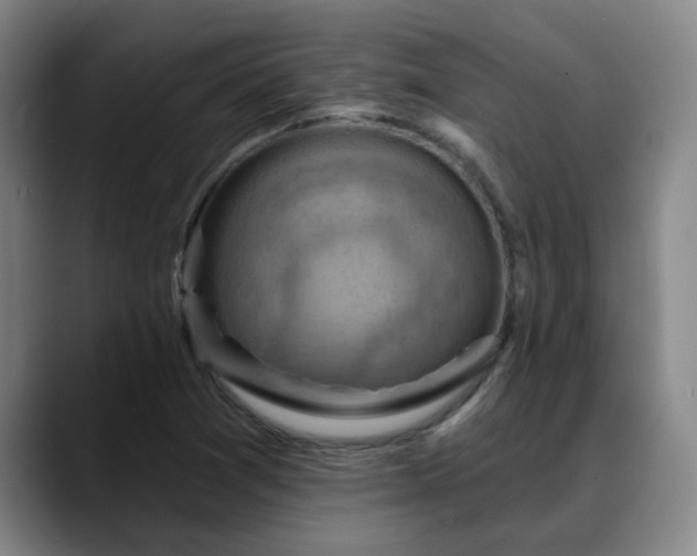 X0000088861361200706151728