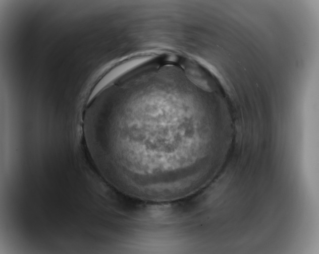 X0000088861363200706151728