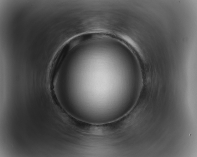 X0000088861364200706151728
