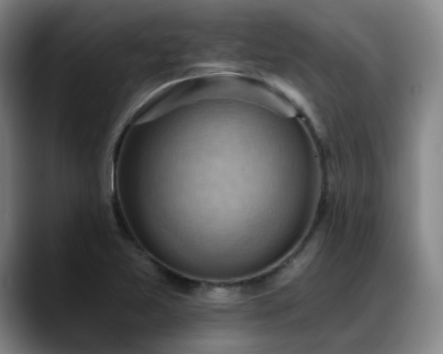 X0000088861365200706151728