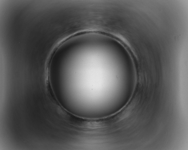 X0000088861366200706151728