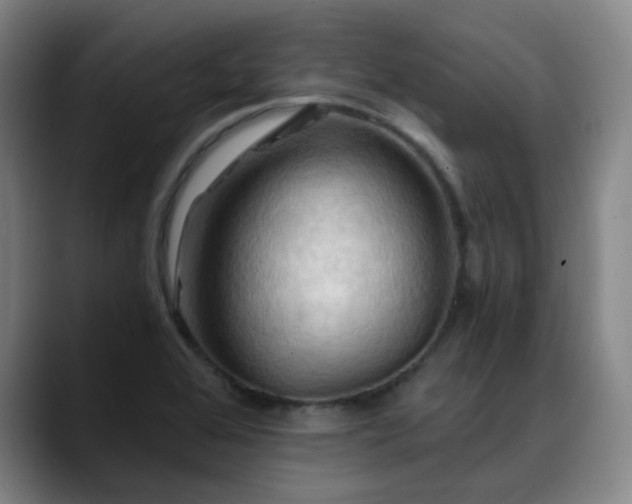 X0000088861368200706151728