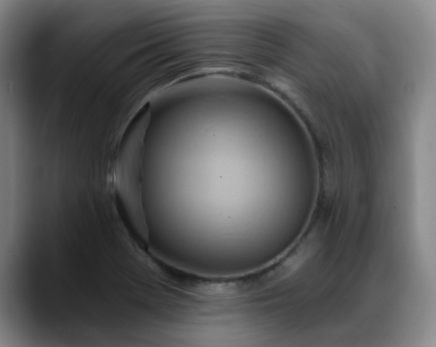 X0000088861369200706151728