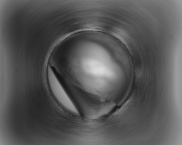 X0000088861371200706151728