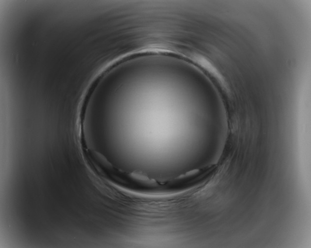 X0000088861372200706151728