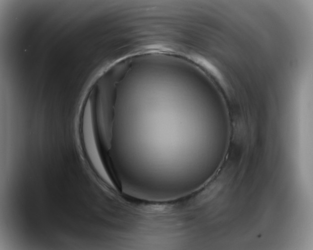 X0000088861373200706151728