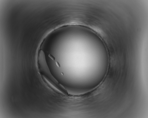 X0000088861374200706151728