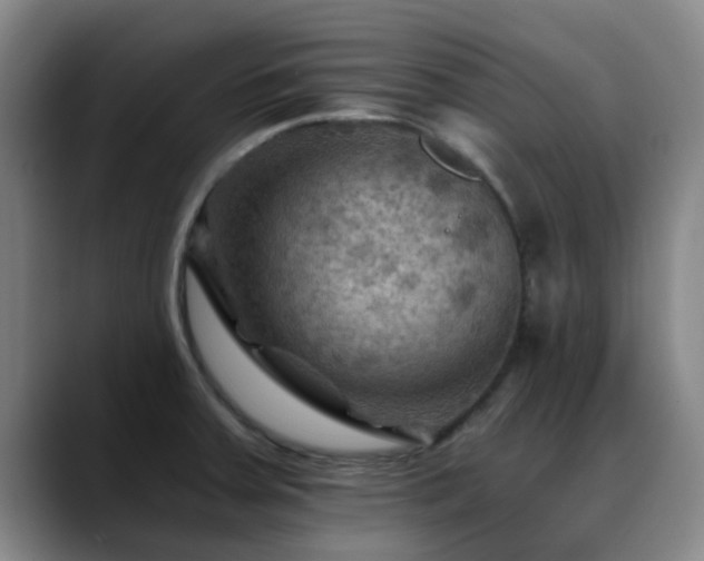 X0000088861379200706151728