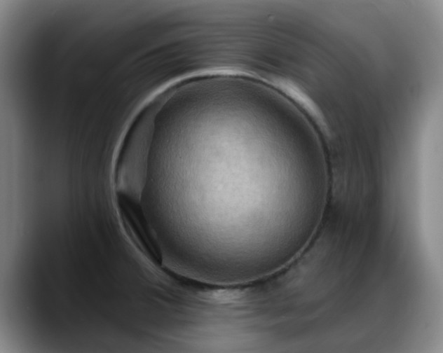 X0000088861380200706151728