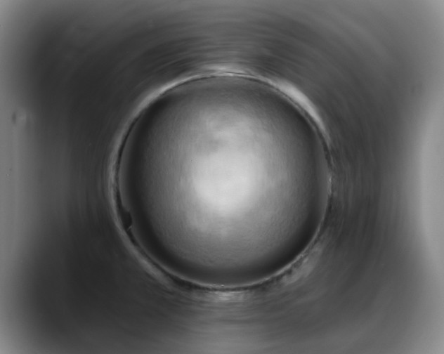 X0000088861381200706151728