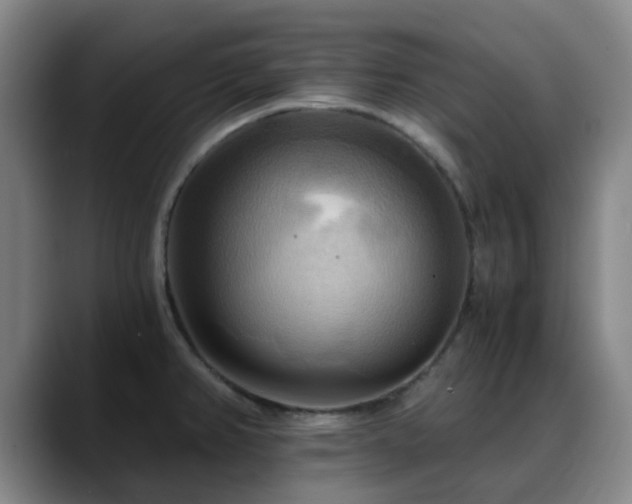 X0000088861382200706151728