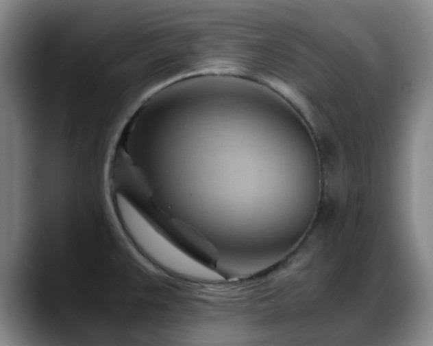 X0000088861383200706151728