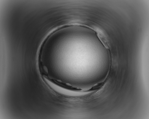 X0000088861384200706151728