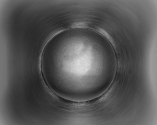 X0000088861386200706151728