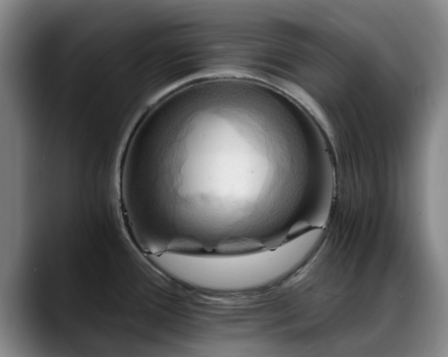 X0000088861388200706151728