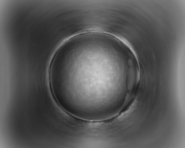 X0000088861389200706151728