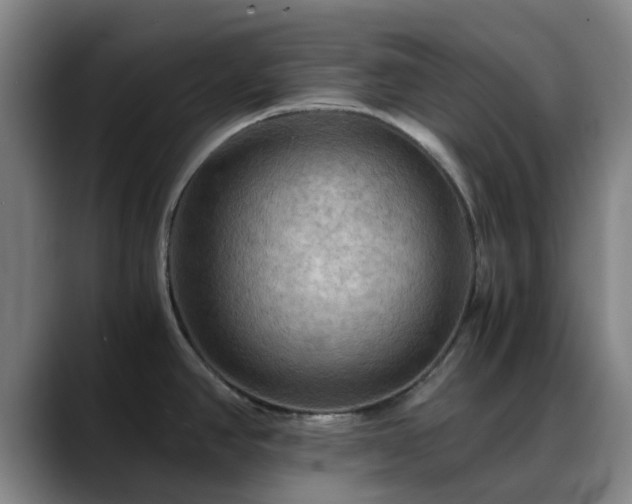 X0000088861390200706151728