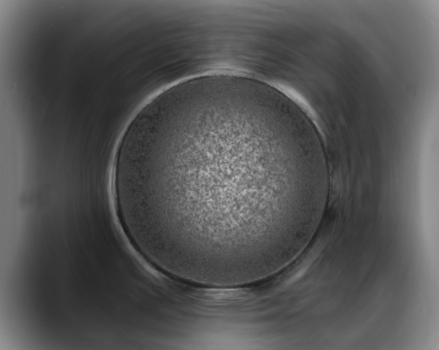 X0000088861391200706151728
