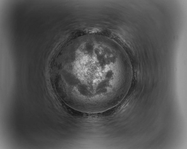 X0000088861393200706151727