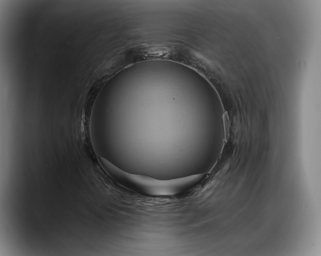 X0000088861394200706151727