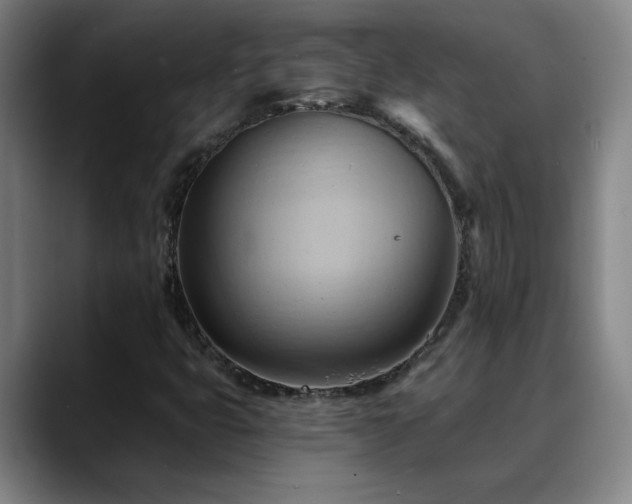X0000088861399200706151727
