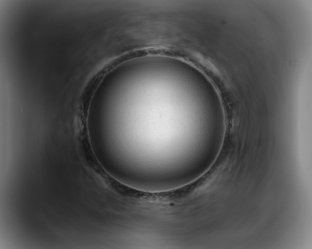 X0000088861400200706151727