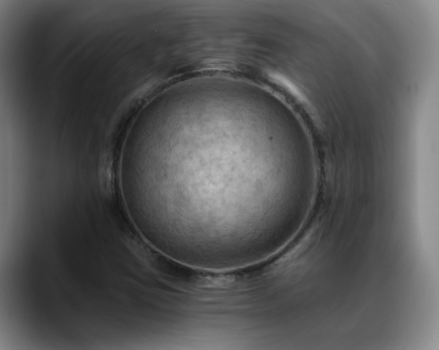 X0000088861403200706151727