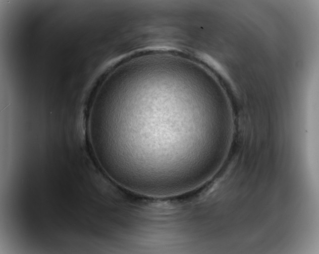 X0000088861408200706151727
