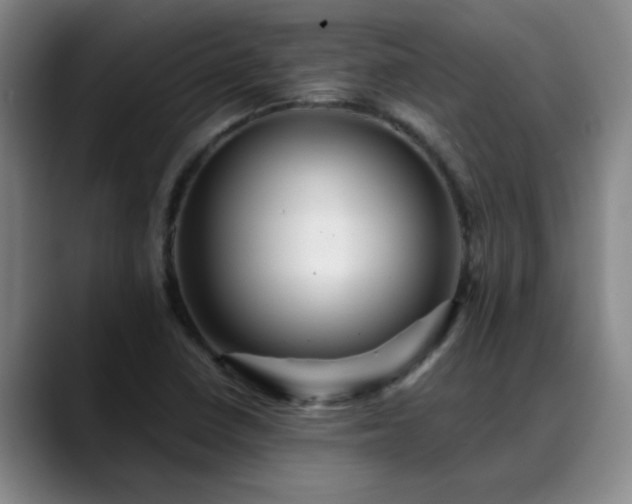 X0000088861410200706151727