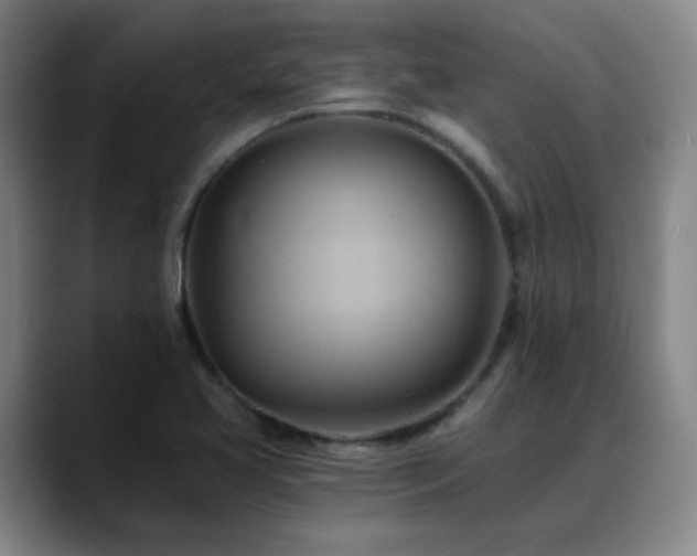 X0000088861413200706151727