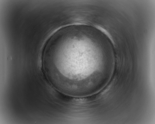 X0000088861415200706151727