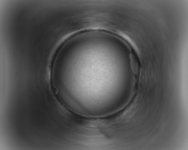 X0000088861416200706151727
