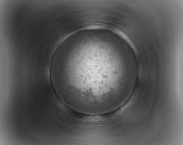 X0000088861417200706151727