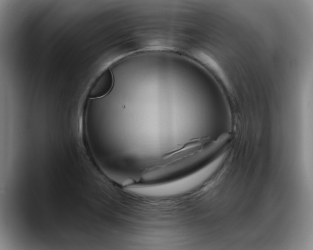 X0000088861419200706151727