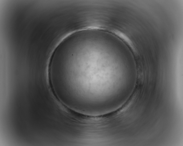 X0000088861423200706151727