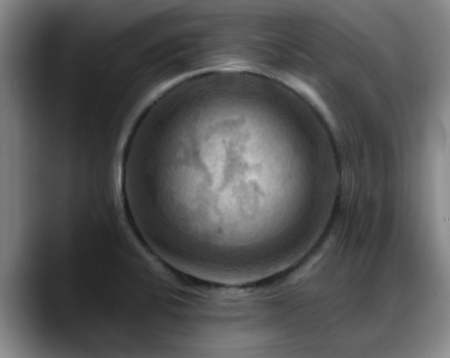 X0000088861424200706151727